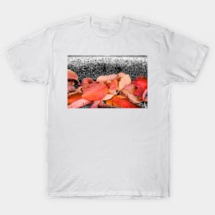 Fallen Autumn Leaves T-Shirt